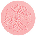 10<br /> <img src="/images/products/p_5834_a_2850.jpg">