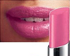 Hibiscus<br /> <img src="/images/products/p_6939_a_3856.jpg">