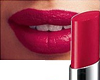 Red Tulip<br /> <img src="/images/products/p_6939_a_3867.jpg">