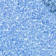 Blue<br /> <img src="/images/products/p_6972_a_3896.jpg">