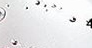 Clear<br /> <img src="/images/products/">