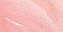 Pink Pout<br /> <img src="/images/products/">