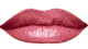 Carnation<br /> <img src="/images/products/p_8242_a_5339.jpg">