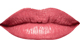 Country Rose<br /> <img src="/images/products/p_8242_a_5316.jpg">