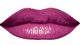 Dream Fuchsia<br /> <img src="/images/products/p_8242_a_5314.jpg">
