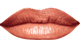 Enduring Sable<br /> <img src="/images/products/p_8242_a_5320.jpg">