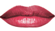 Hibiscus<br /> <img src="/images/products/p_8242_a_5325.jpg">
