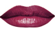 Oxford Wine<br /> <img src="/images/products/p_8242_a_5336.jpg">