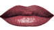 Perfect Red<br /> <img src="/images/products/p_8242_a_5340.jpg">