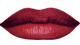 Scarlet Siren<br /> <img src="/images/products/p_8242_a_5332.jpg">