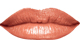 Silky Peach<br /> <img src="/images/products/p_8242_a_5319.jpg">