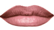 Toasted Rose<br /> <img src="/images/products/p_8242_a_5326.jpg">