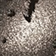 Totally Taupe<br /> <img src="/images/products/p_8505_a_5688.jpg">