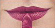 Plum Perfect<br /> <img src="/images/products/p_8525_a_5749.jpg">