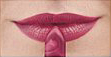 Rose Revival<br /> <img src="/images/products/p_8525_a_5752.jpg">