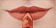 Silky Peach<br /> <img src="/images/products/p_8525_a_5753.jpg">