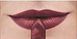 Sumptuous Berry<br /> <img src="/images/products/p_8525_a_5757.jpg">