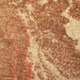 10 Bronze<br /> <img src="/images/products/p_8887_a_6048.jpg">