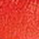 Coral Burst<br /> <img src="/images/products/p_9141_a_6326.jpg">