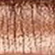Get Bronzed<br /> <img src="/images/products/p_9141_a_6329.jpg">