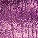 Spellbound<br /> <img src="/images/products/p_9141_a_6337.jpg">