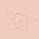 02<br /> <img src="/images/products/p_861_a_1745.jpg">