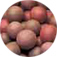 1-Karışık Pembe<br /> <img src="/images/products/p_992_a_269.jpg">