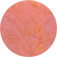 6<br /> <img src="/images/products/p_1001_a_901.jpg">