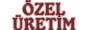 Özel