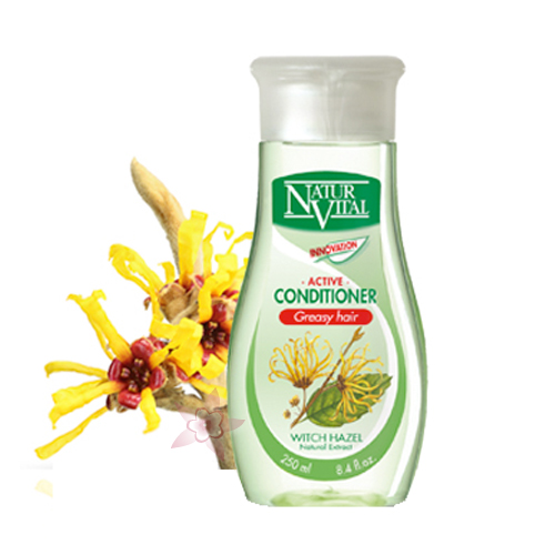 NaturVital Active Greasy Hair Saç Kremi Yağlı Saçlar 250 ml