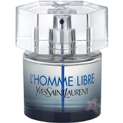 YSL L'Homme Edt Vapo 60ml Erkek Parfümü