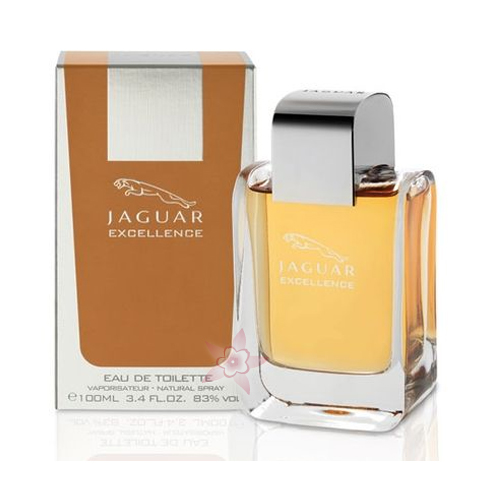 Jaguar Excellence Edt 100 ml Erkek Parfümü 