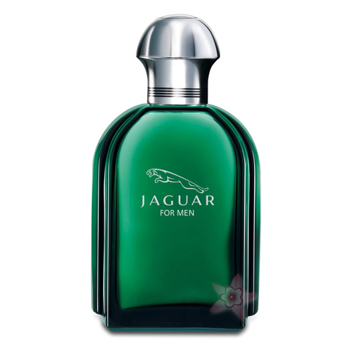 Jaguar For Men Edt 100 ml Erkek Parfümü 