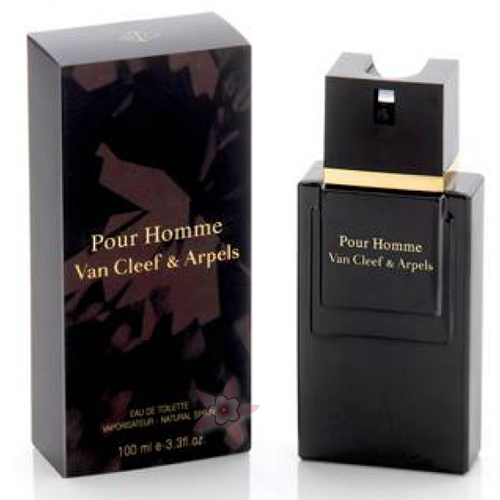 Van Cleef & Arpels Pour Homme Edt 100 ml Erkek Parfümü