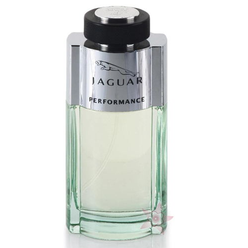 Jaguar Performance Edt 100 ml Erkek Parfümü 