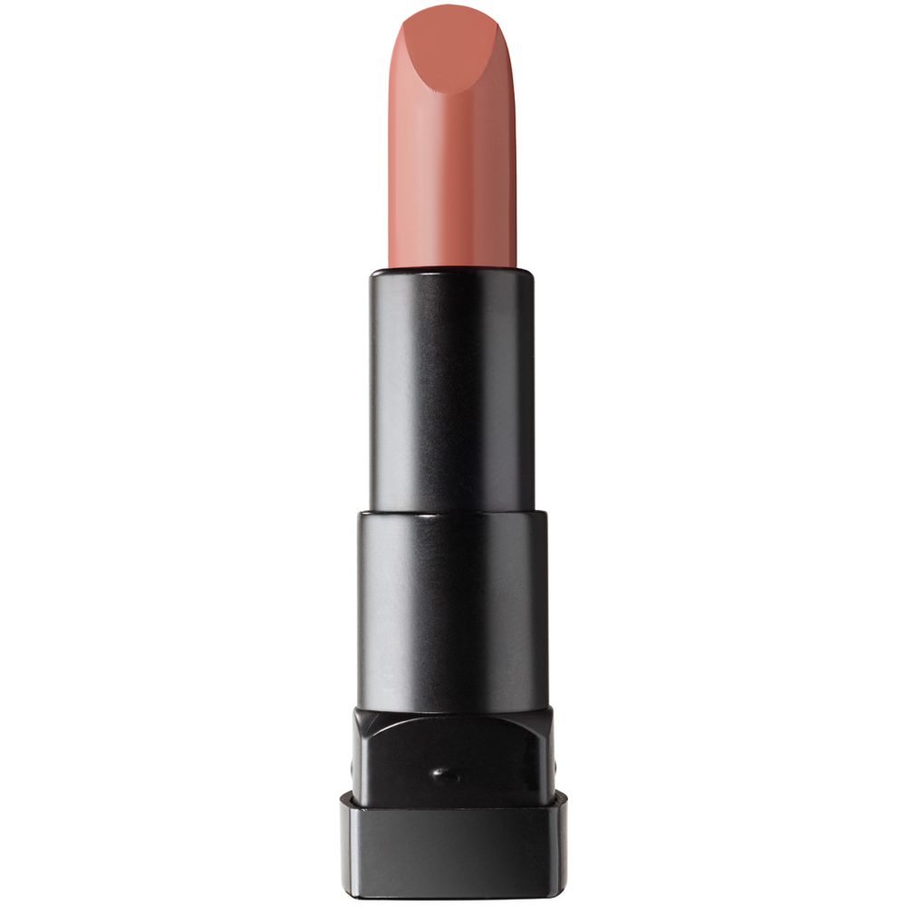 Pastel Profashion Matte Lipstick 558
