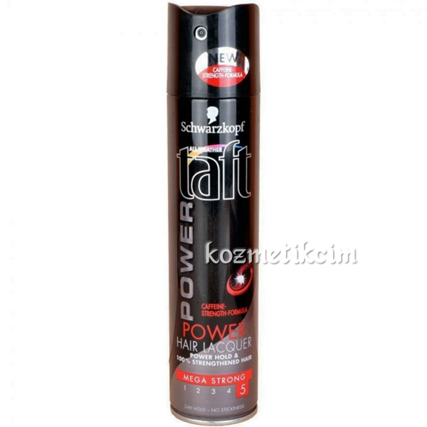 Taft Power 48 Saat Boyunca Etki Mega Güçlü Saç Spreyi