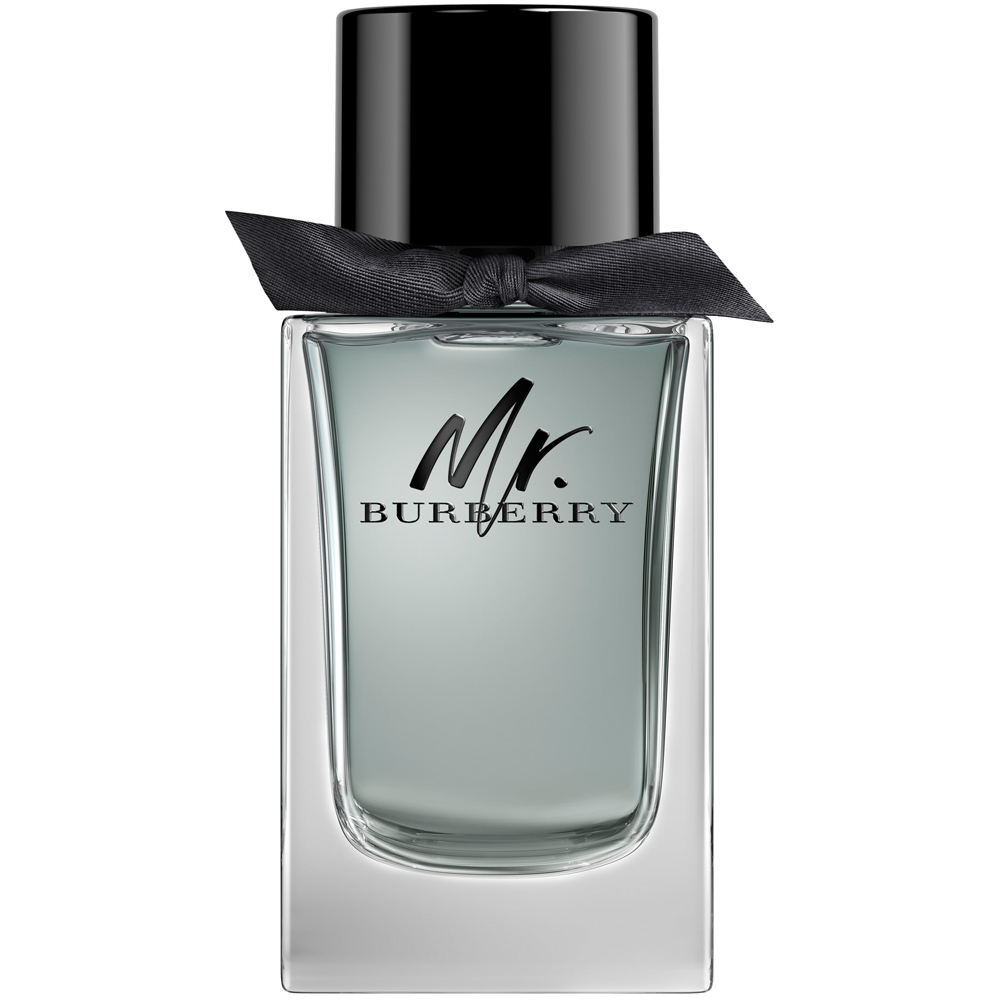 Burberry Mr. Burberry EDT Erkek Parfümü 100 ml